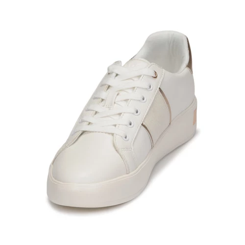 Aldo CIELA 3 Aldo CIELA – Image 3