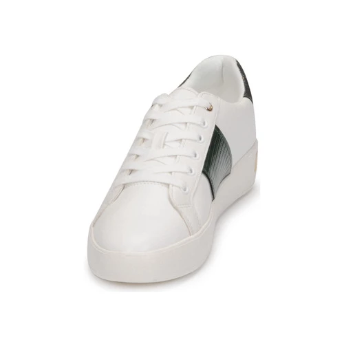 Aldo CIELA 3 Aldo CIELA – Image 3